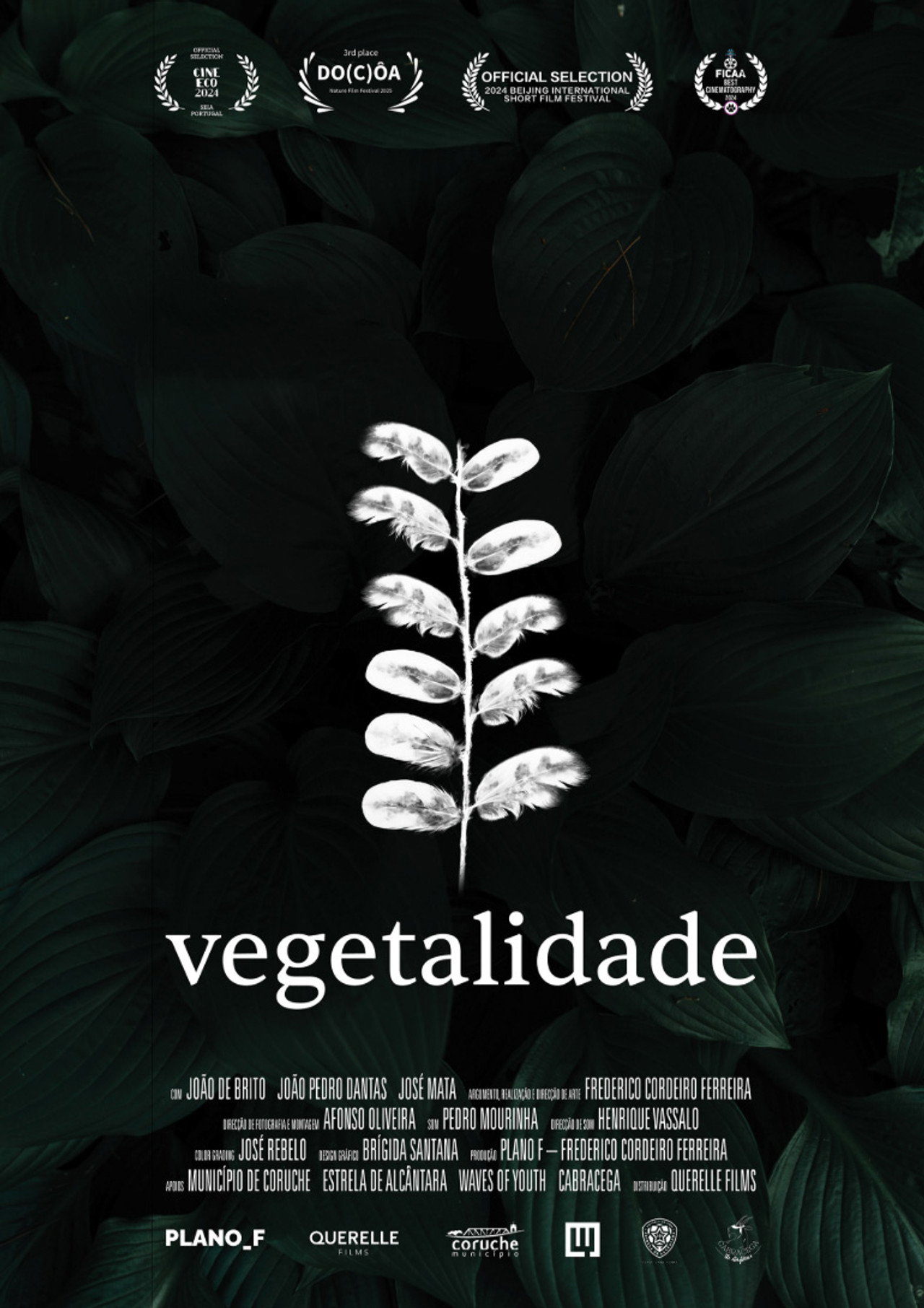 Vegetalidade