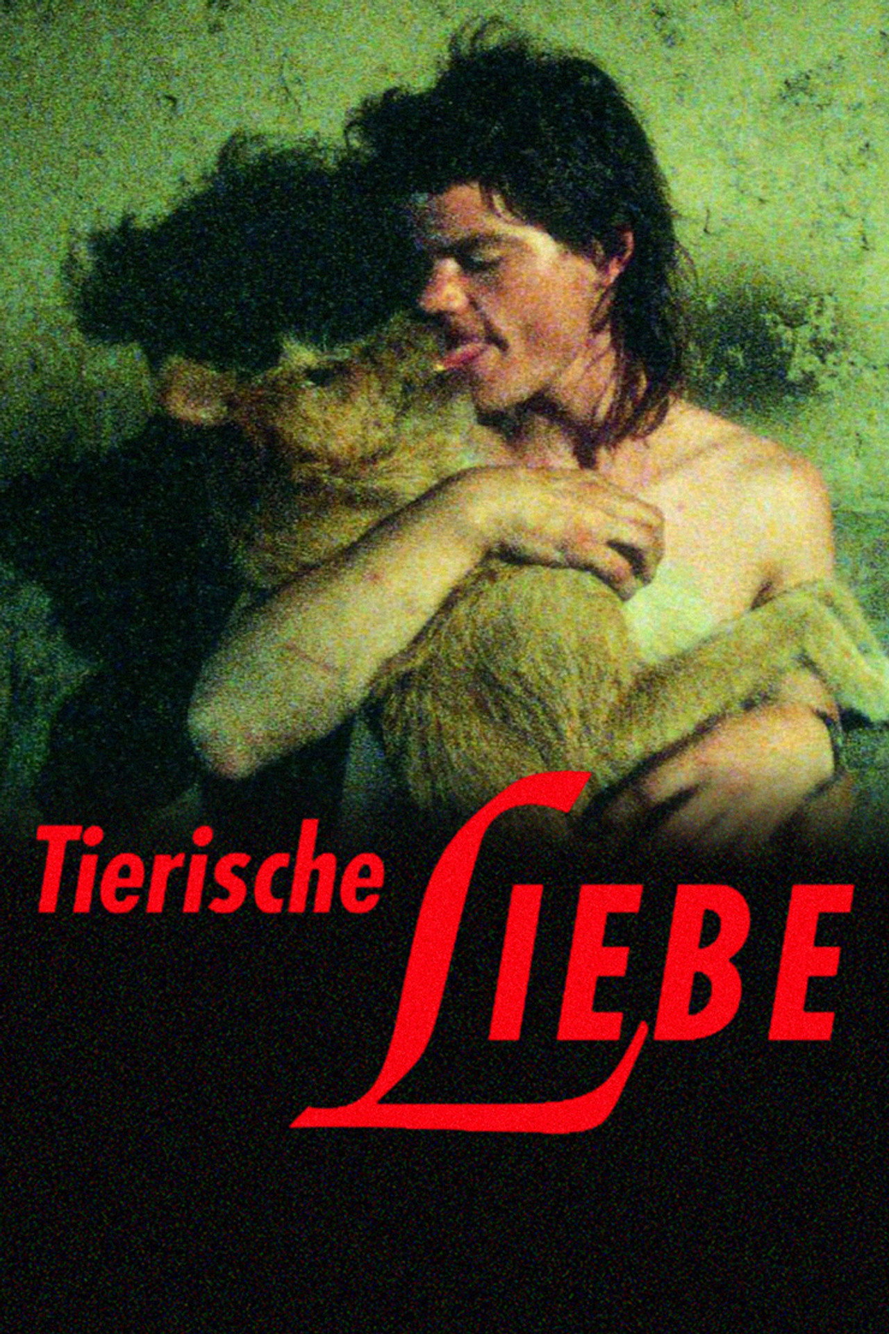 Tierische Liebe filmaffisch