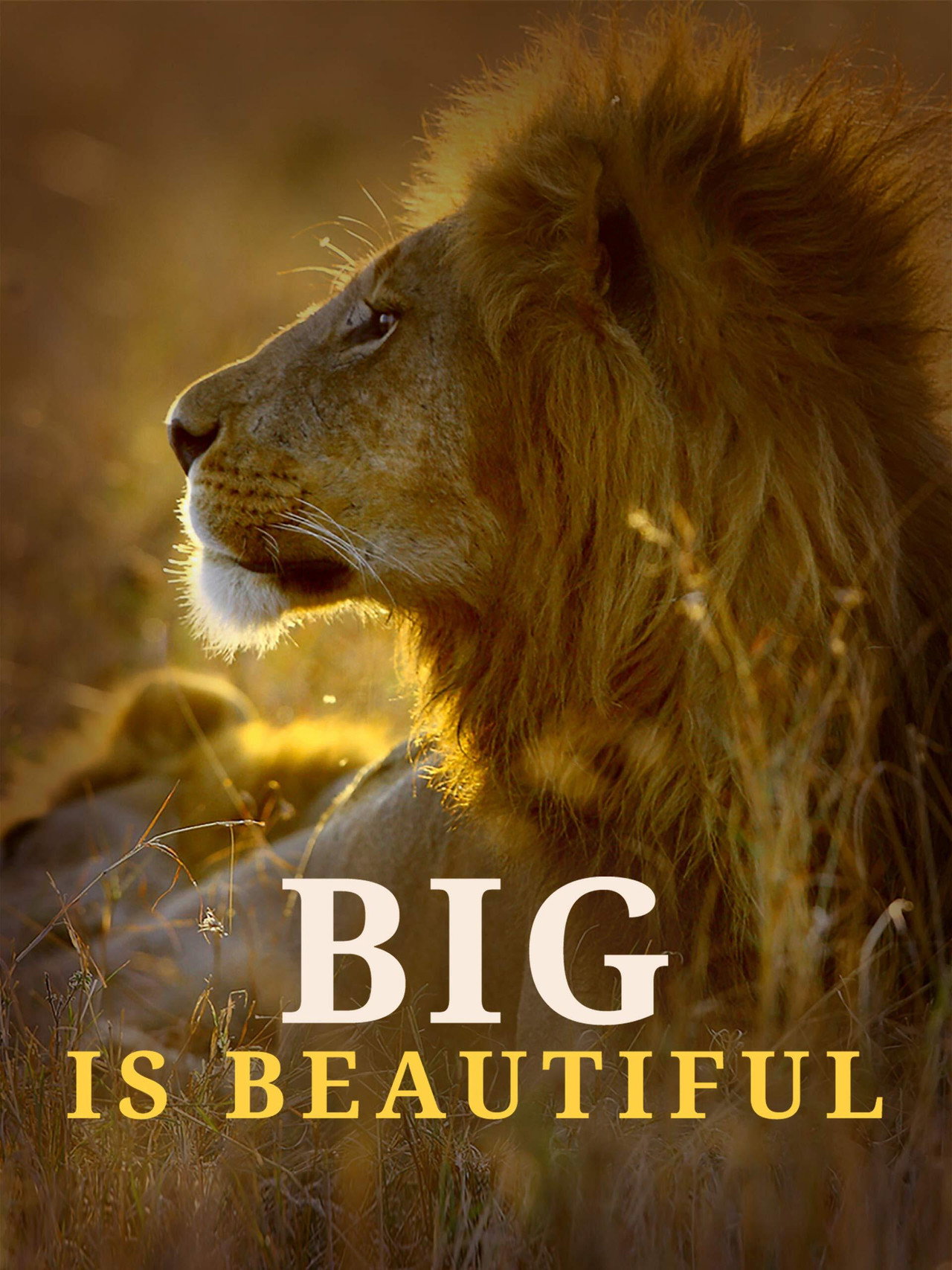 Big is Beautiful filmaffisch