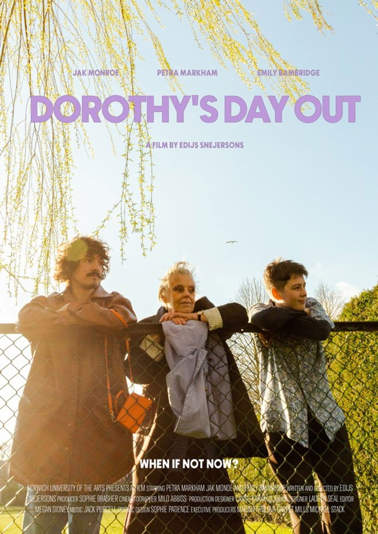 Dorothy's Day Out Backdrop