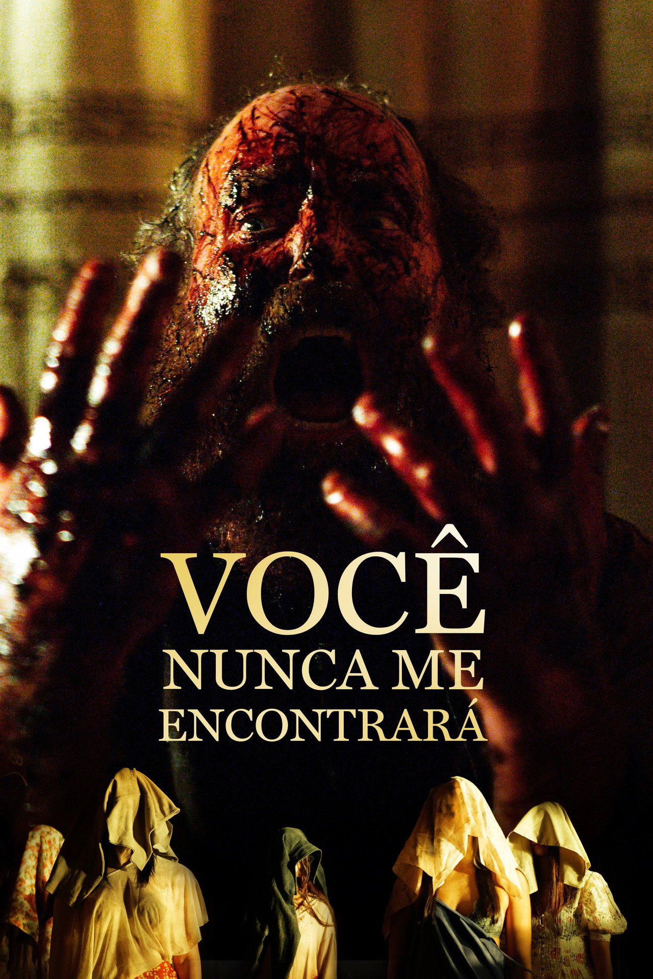 Pôster de Você Nunca Me Encontrará