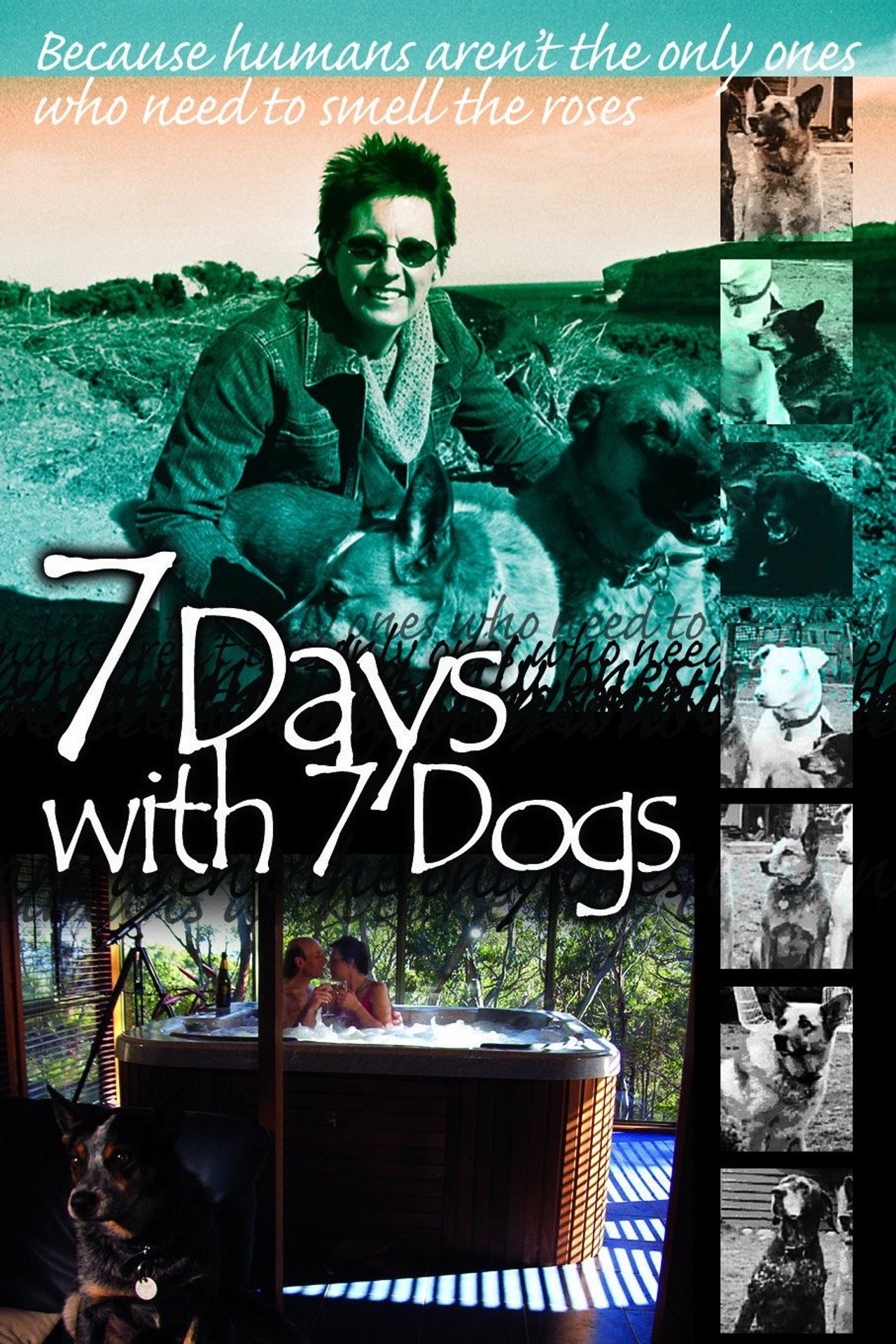 7 Days with 7 Dogs Backdrop