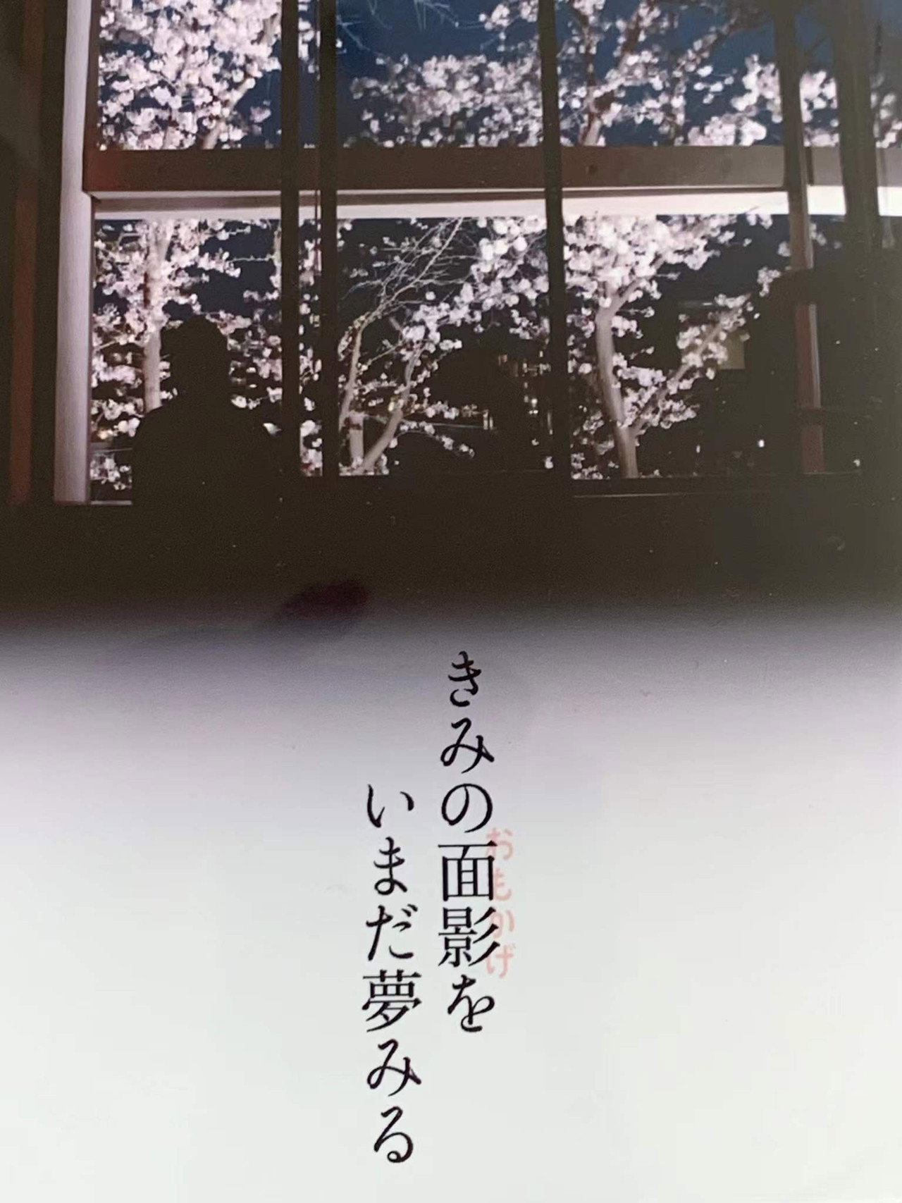 きみの面影をいまだ夢みる filmaffisch