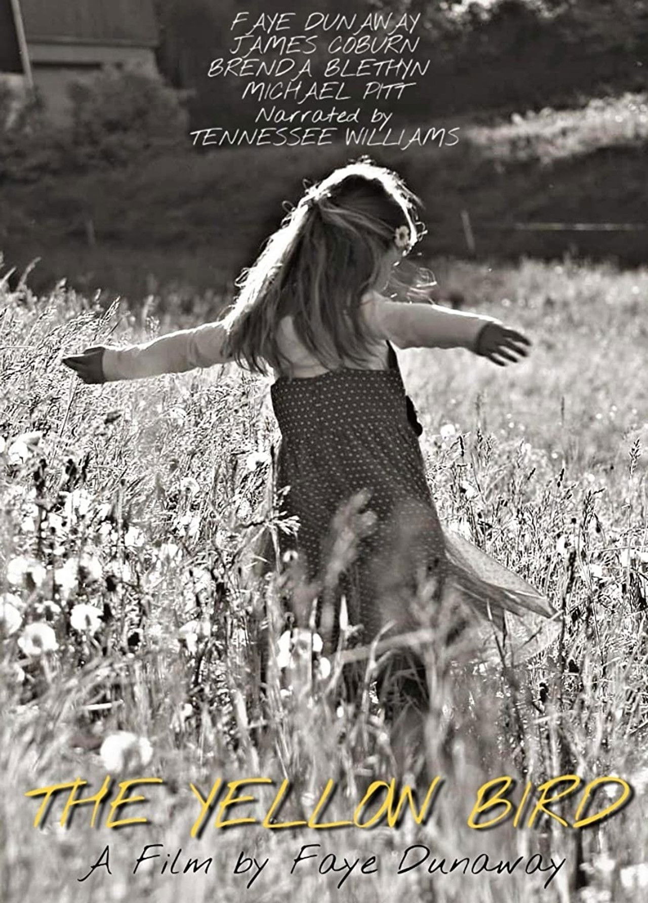 The Yellow Bird Backdrop