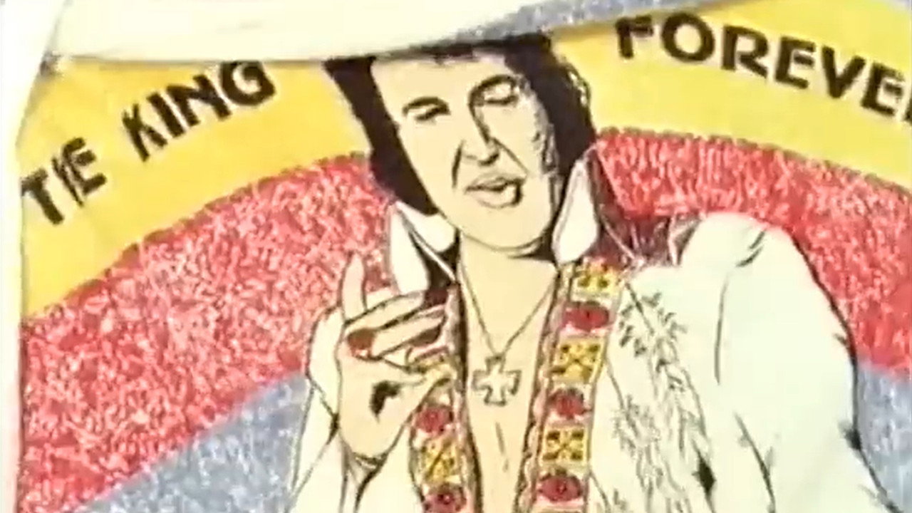 Elvis - He Touched Their Lives still 12
