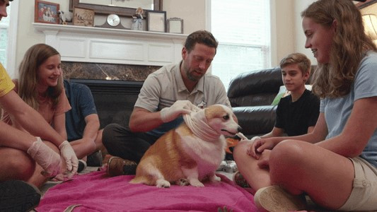 The Wizard of Paws - Season 3 Episode 1 : Boots