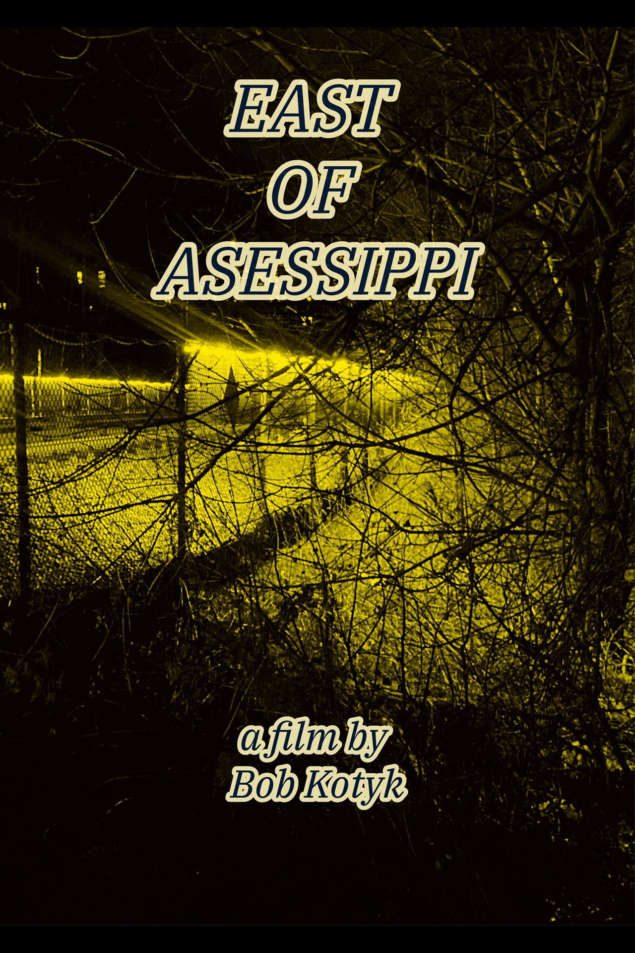 East of Asessippi filmaffisch