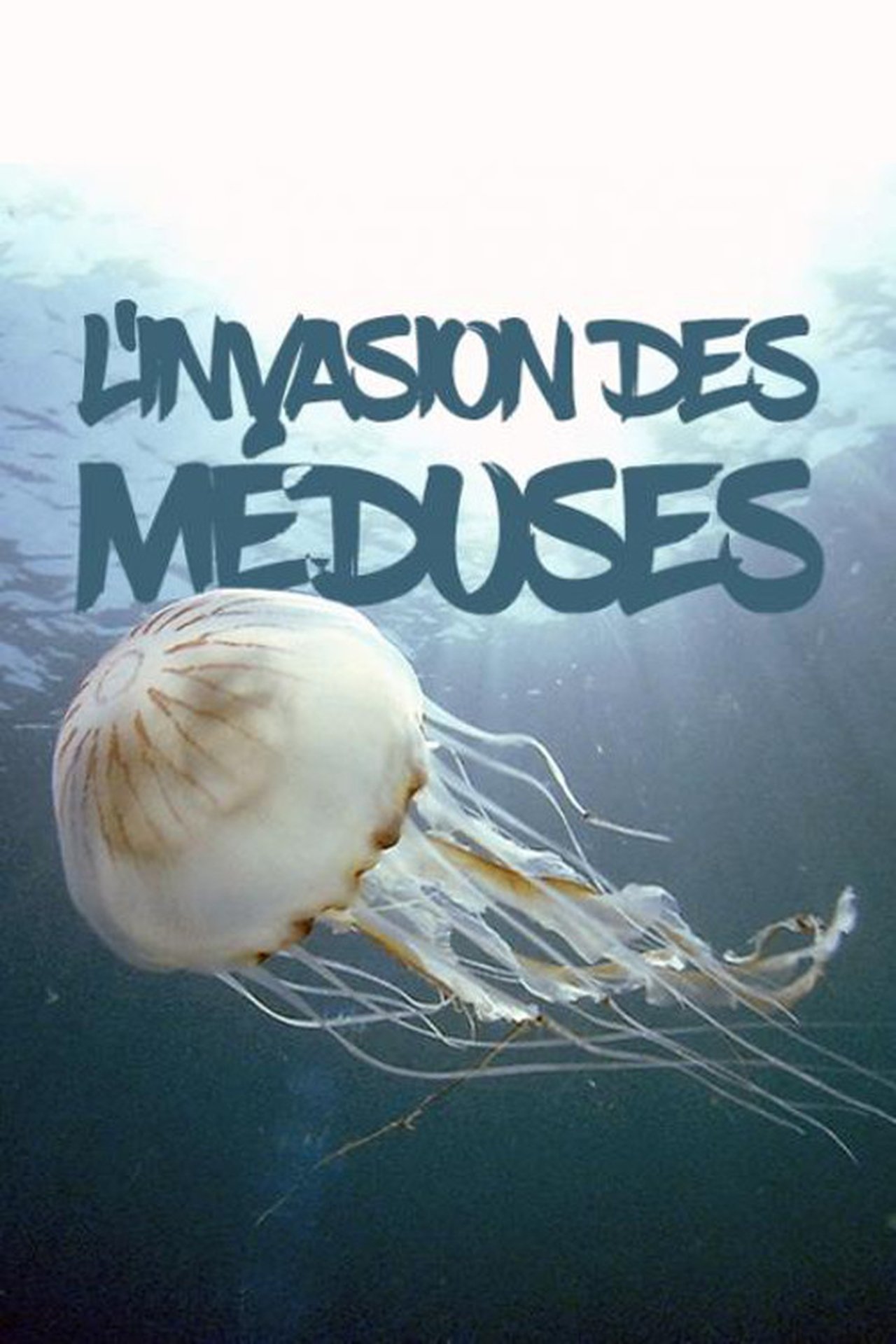 L'invasion des méduses – Une prolifération inquiétante poster