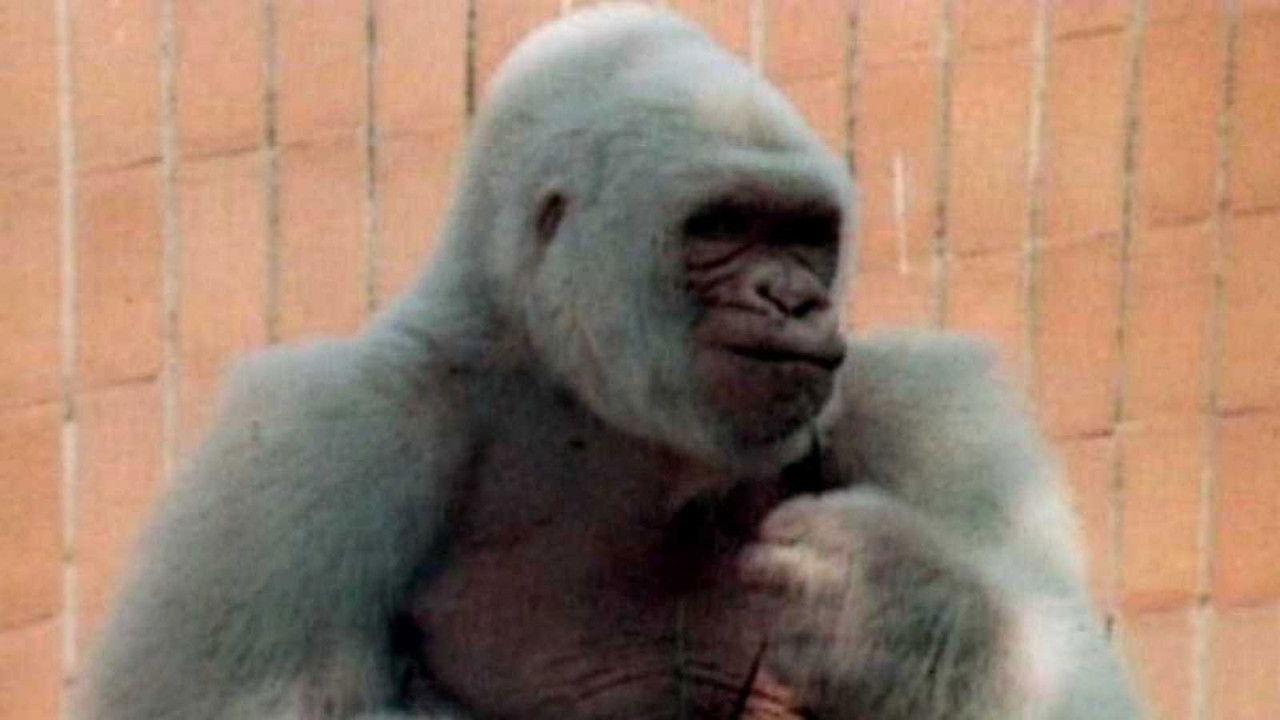 Viaje al centro de la tele — Épisode 13