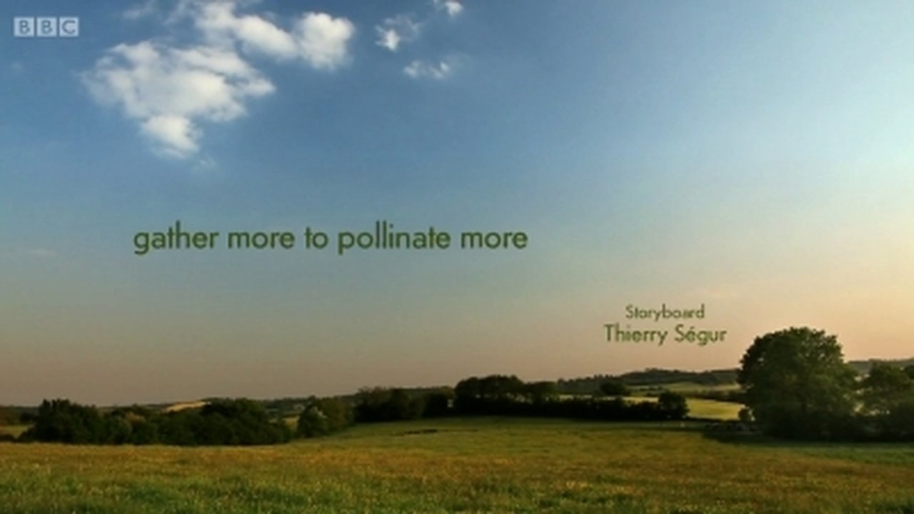 Gather more to pollinate more