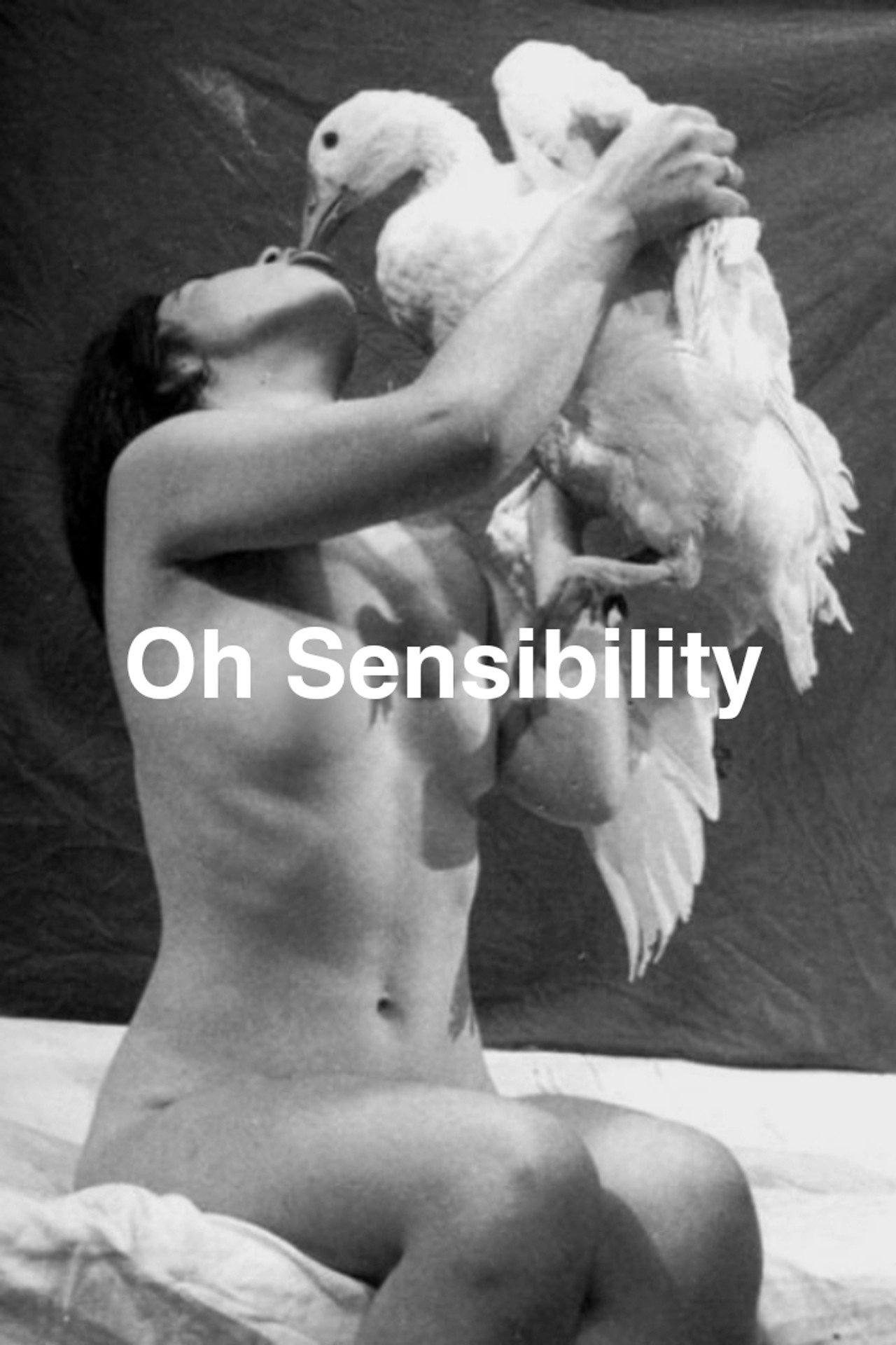 Oh Sensibility filmaffisch