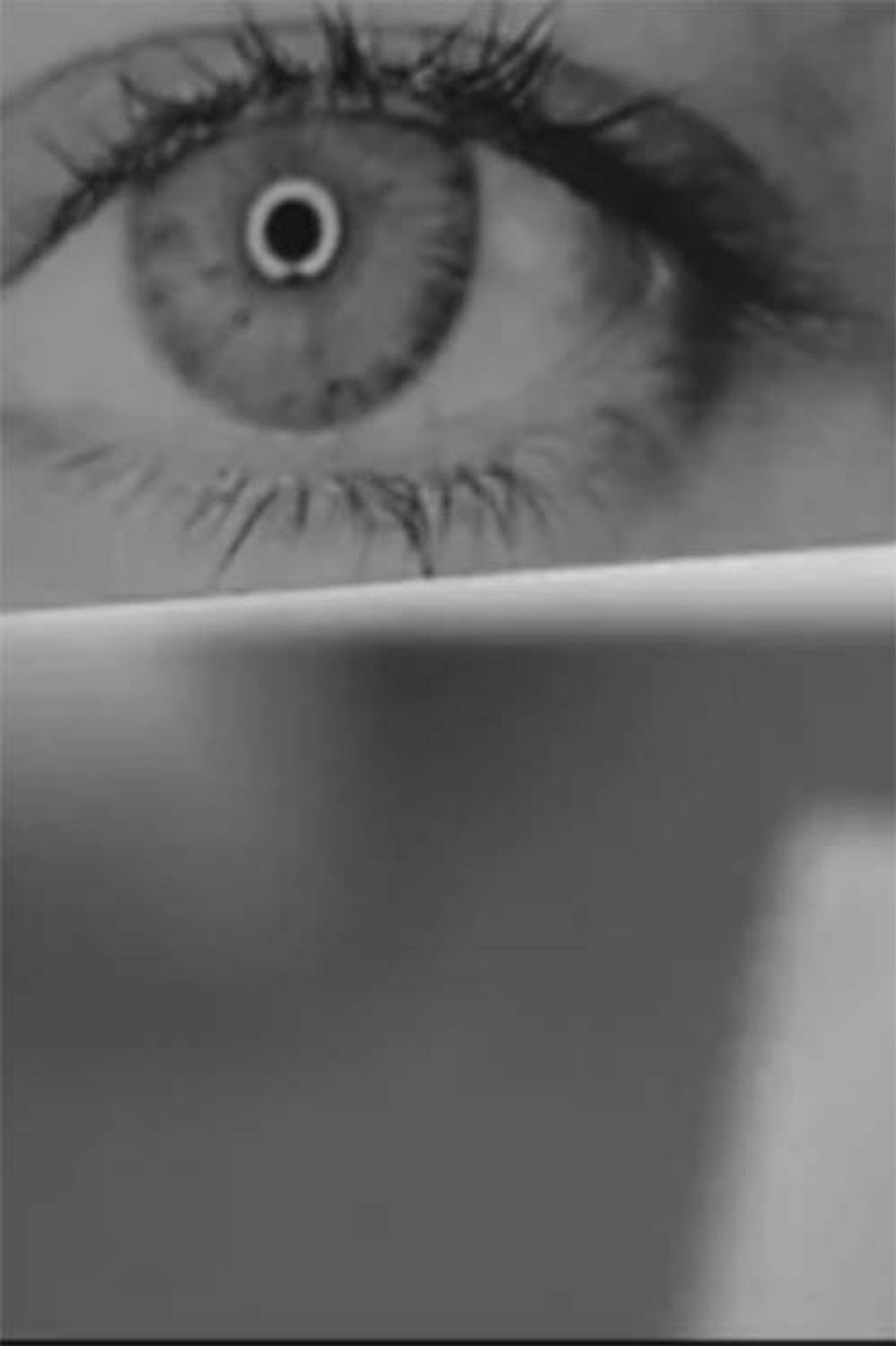 Retrato nº 2. Cuaderno de ensayos Backdrop