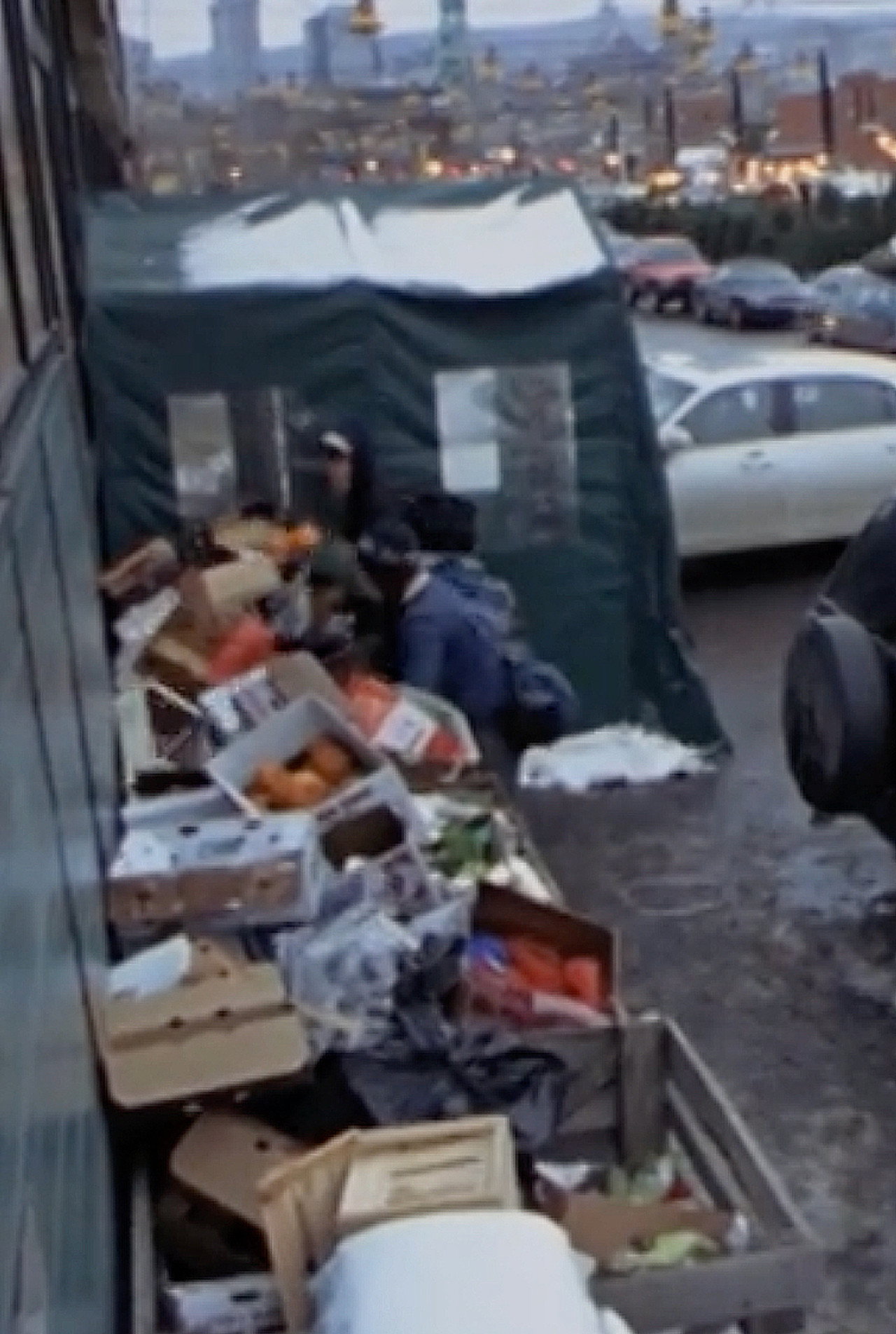 Surfing the Waste: a Musical Documentary about Dumpster Diving Backdrop