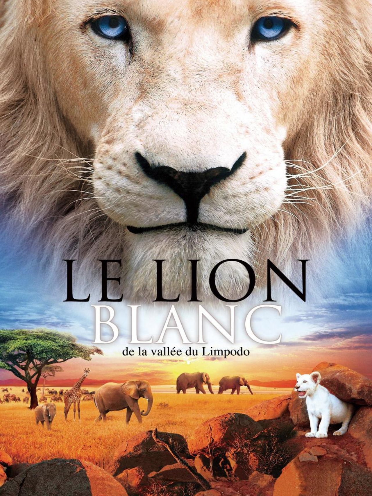 Le Lion blanc de la vallée de Limpopo poster