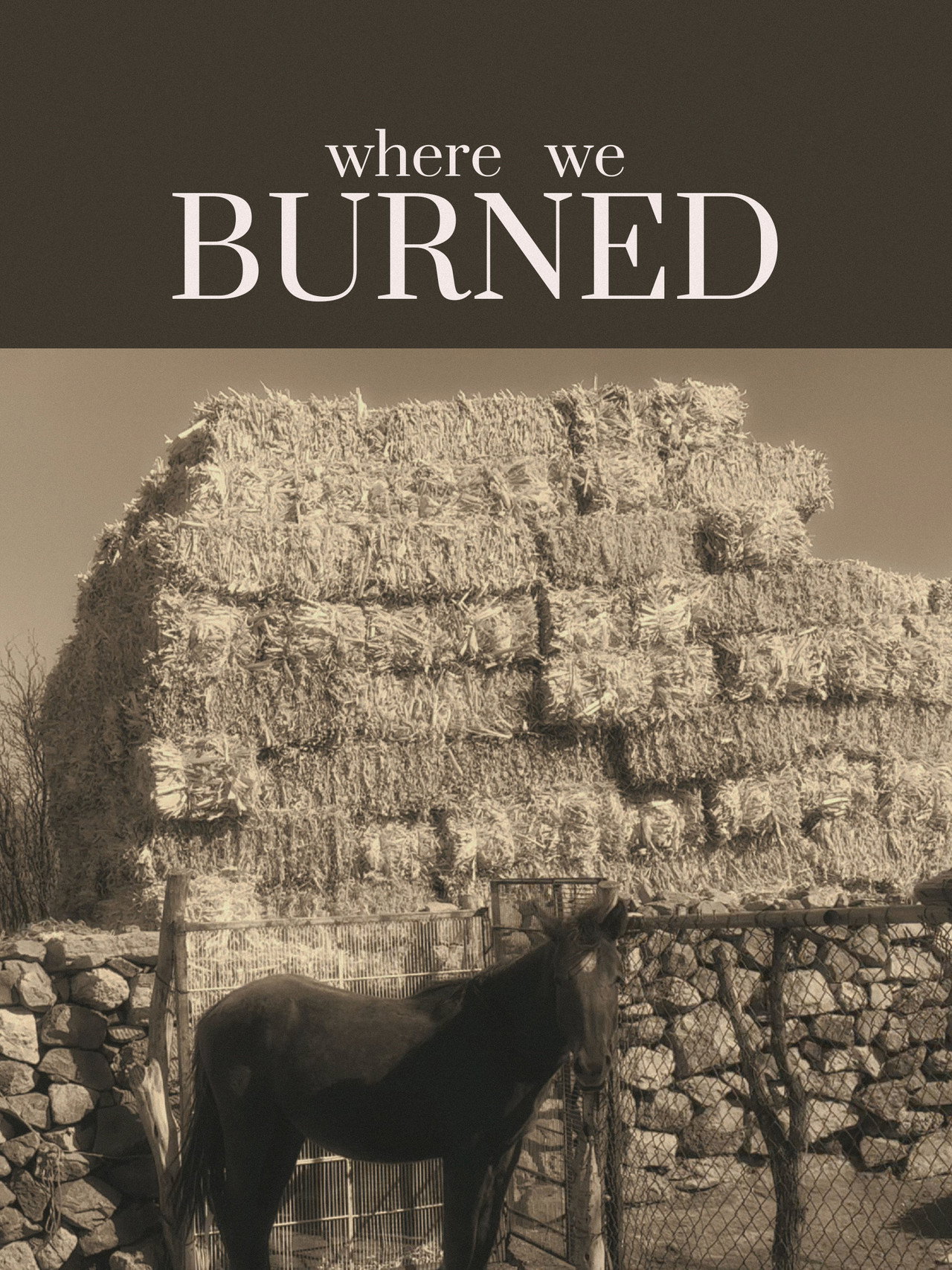 where we BURNED poster