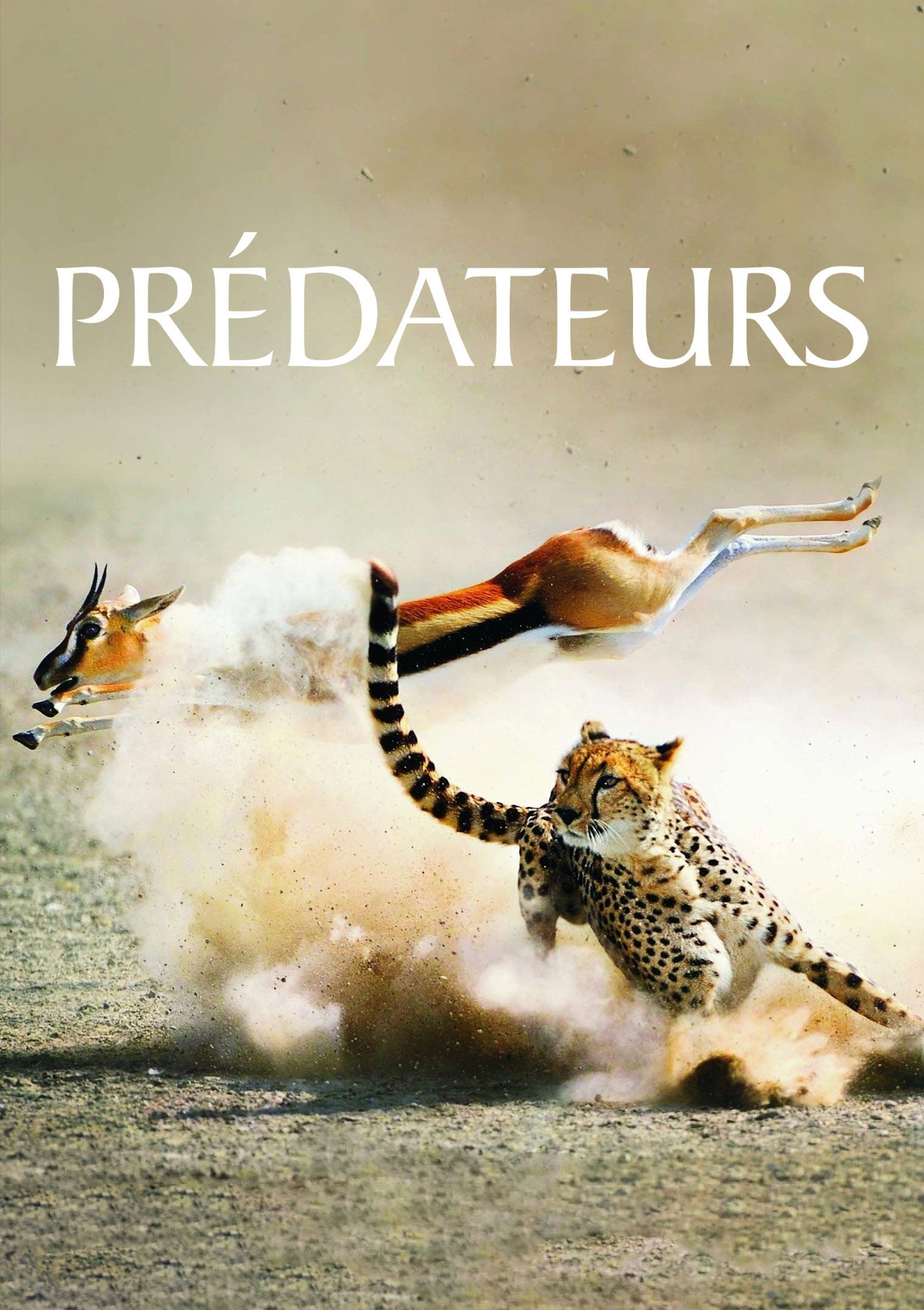 Prédateurs poster