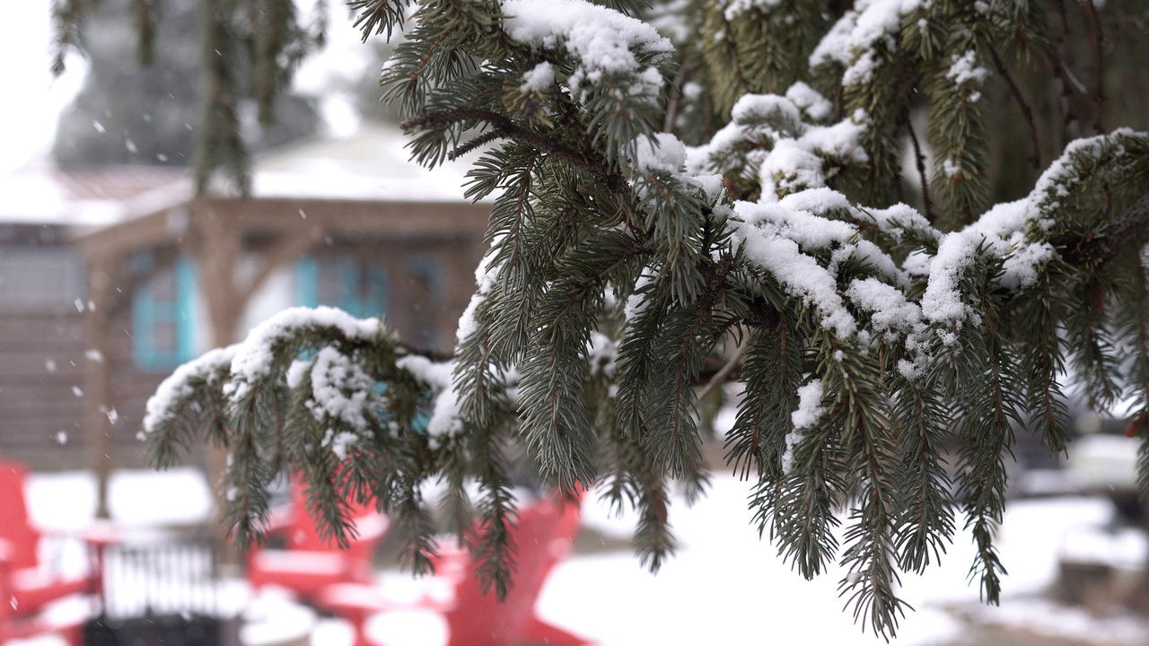 From Christmas, with Love backdrop