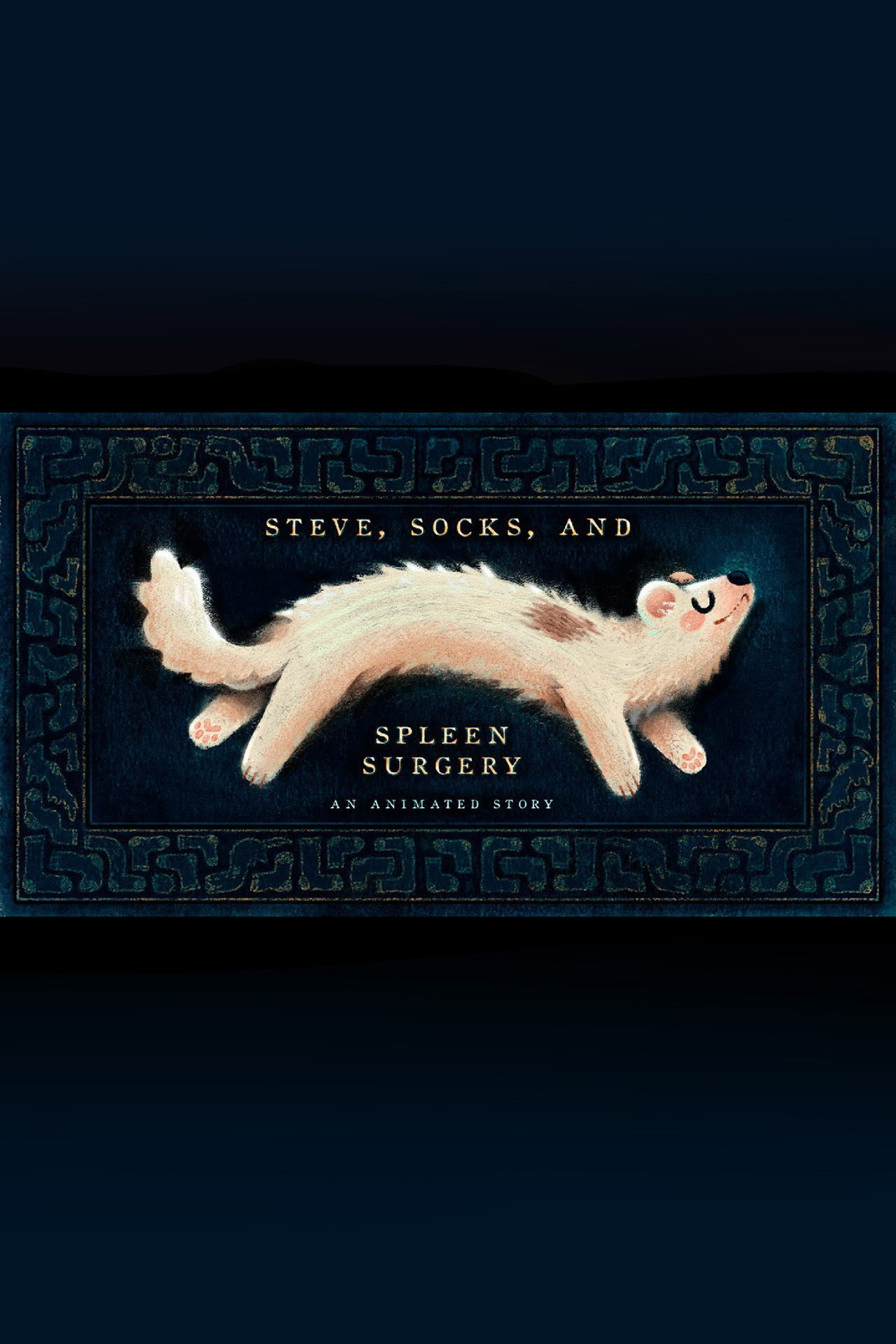 Steve, Socks, and Spleen Surgery