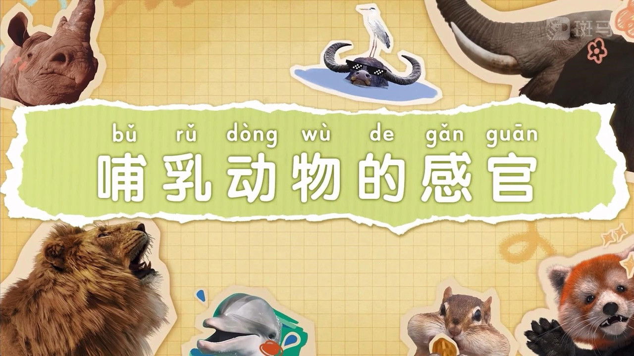 斑马百科 — Épisode 4