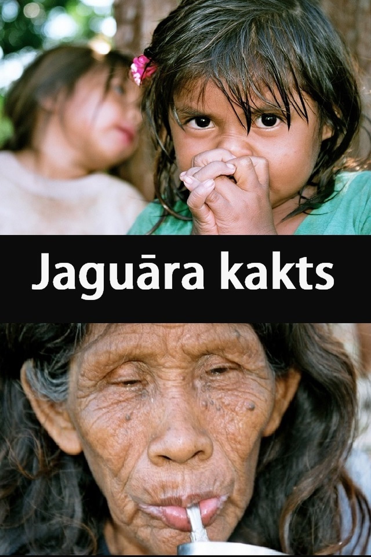 Jaguāra kakts Jaguāra kakts