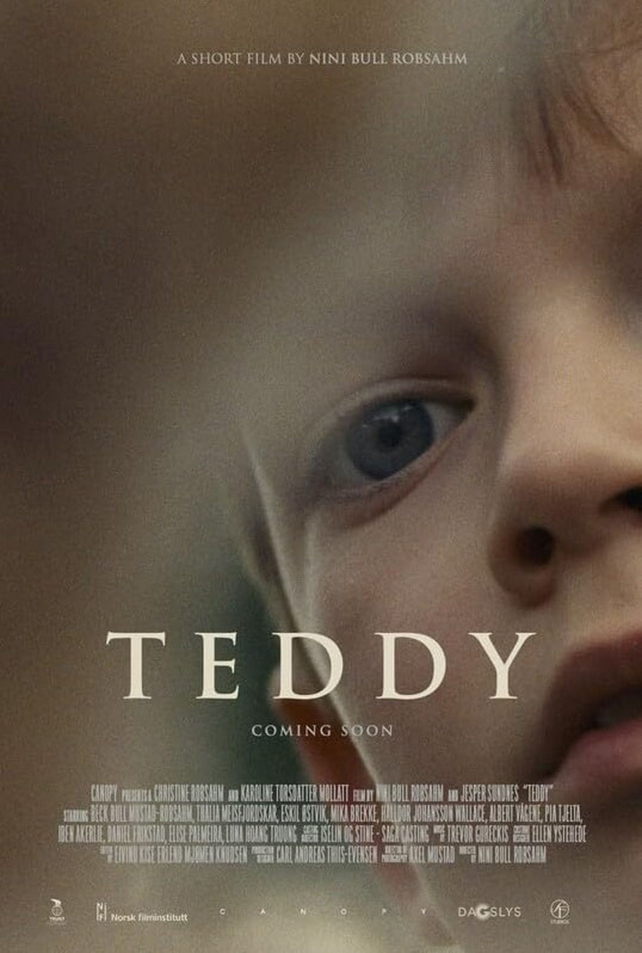 Teddy Teddy