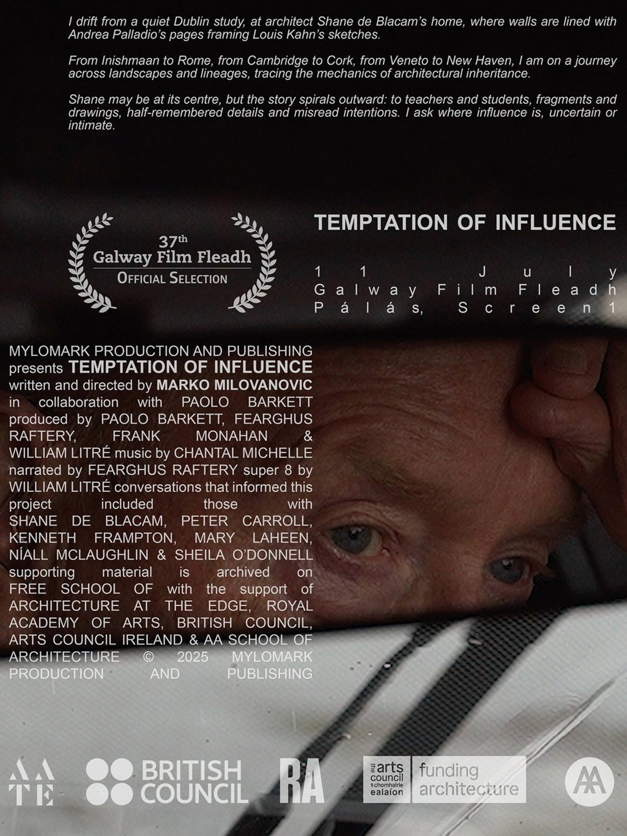 Temptation of Influence filmaffisch