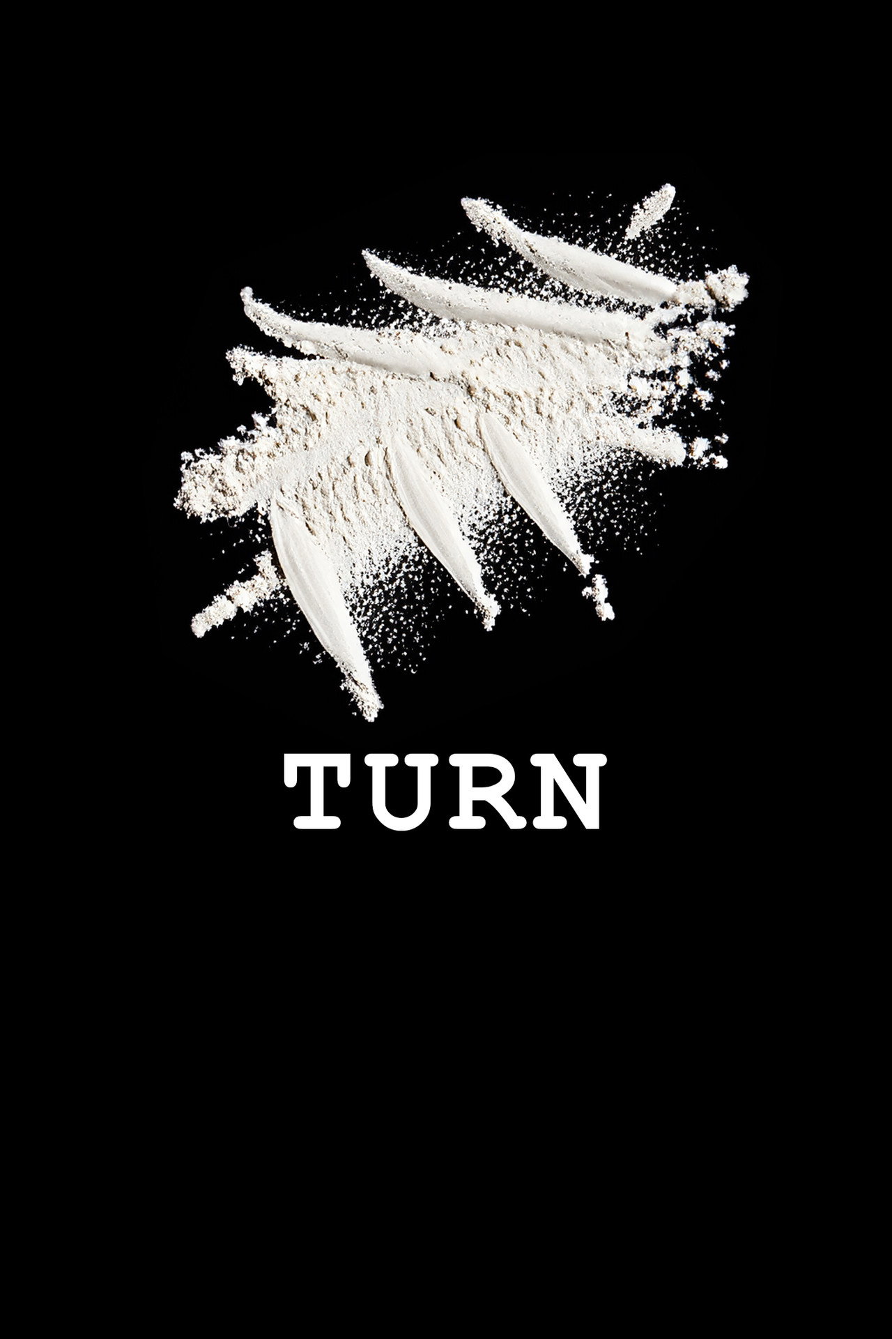 Turn poster