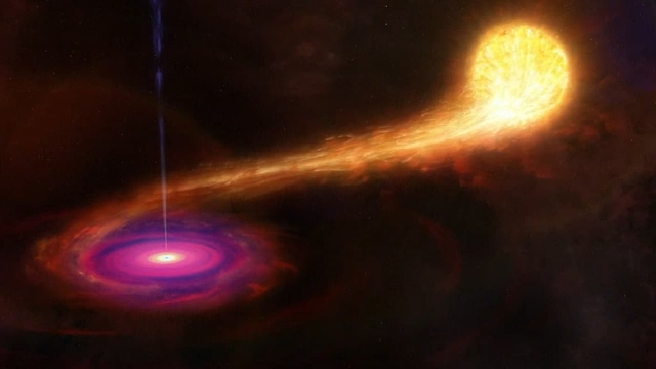 Scen från Timelapse of the Entire Universe