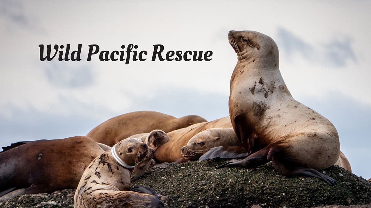 Wild Pacific Rescue