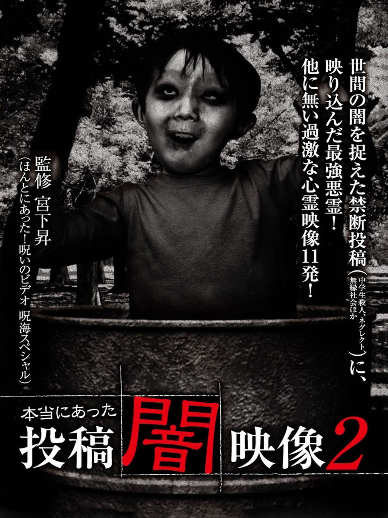 本当にあった 投稿 闇映像2 filmaffisch