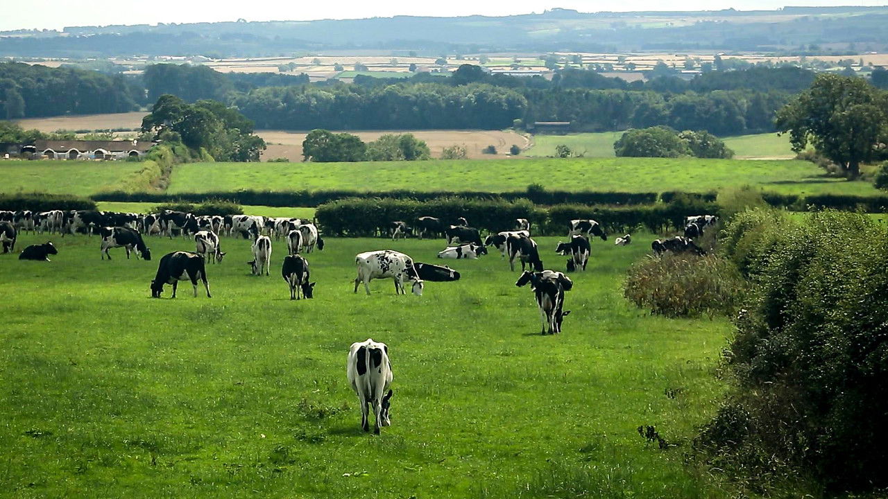 The Farmers' Country Showdown — Épisode 9