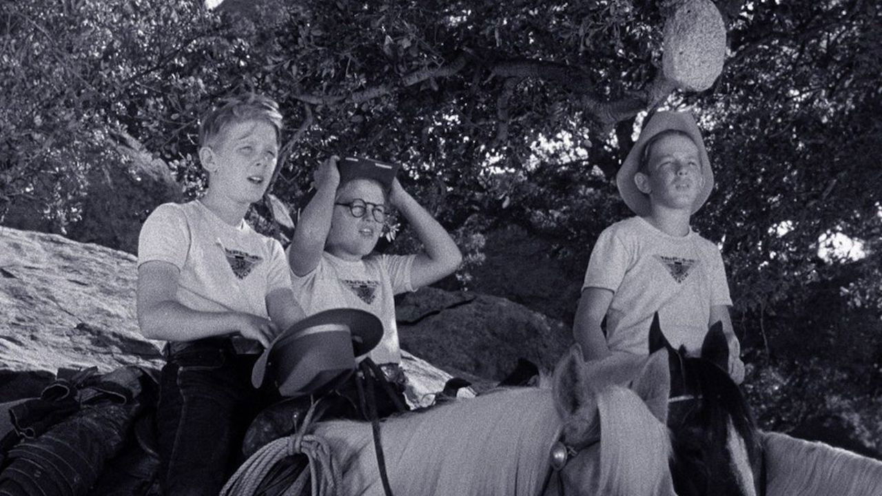 Perkins and the Bear