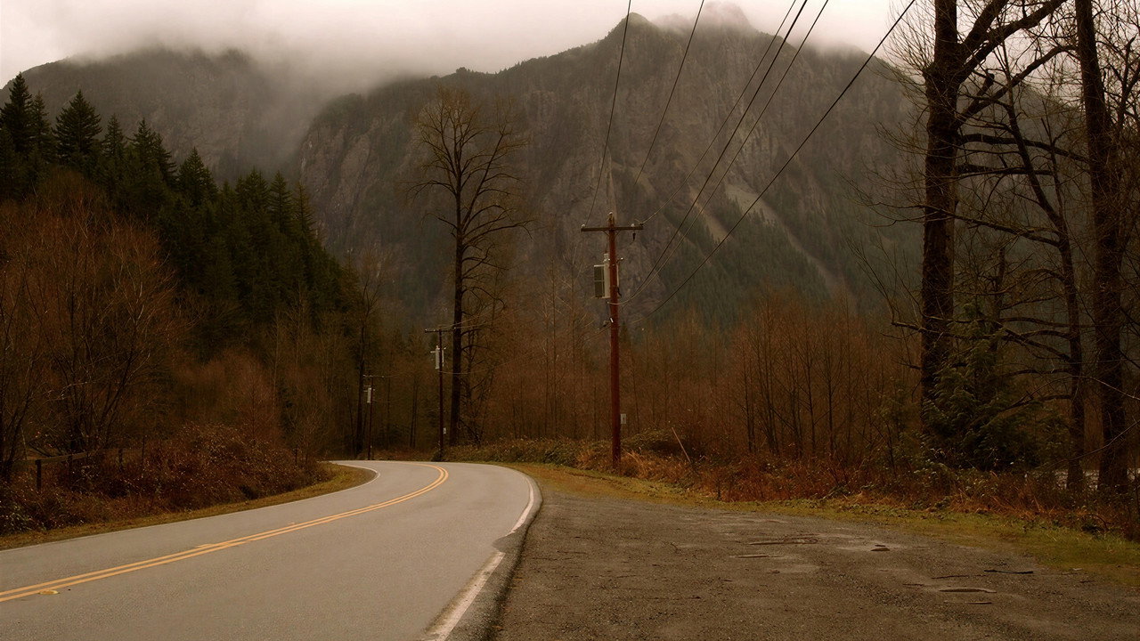 Trees Clip still 6