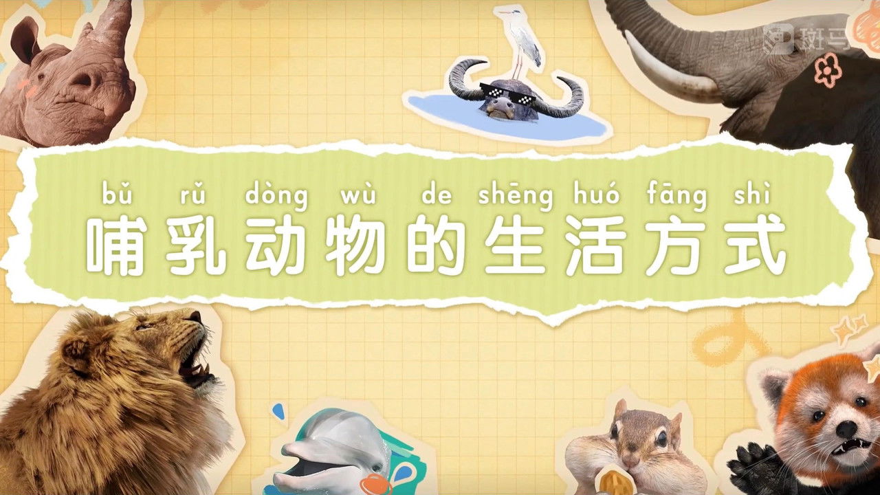 斑马百科 — Épisode 11