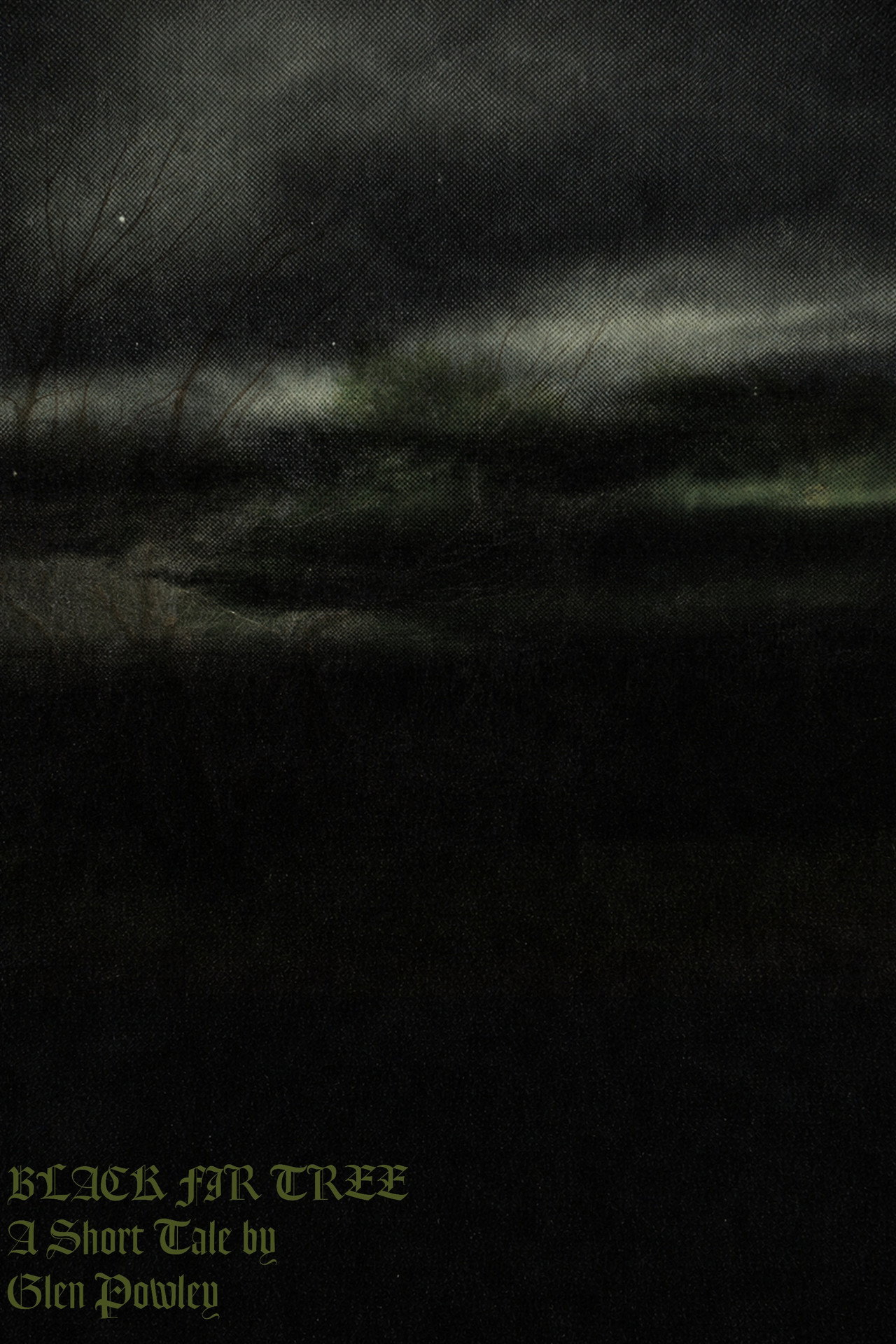 Black Fir Tree