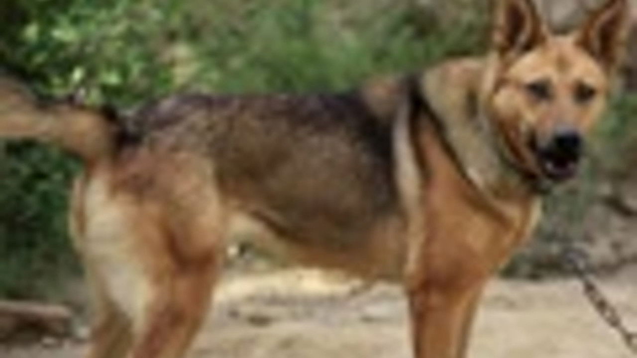 传奇故事 — Épisode 23