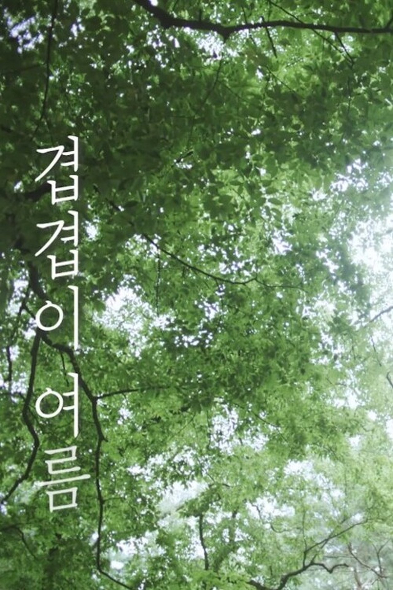 겹겹이 여름 겹겹이 여름