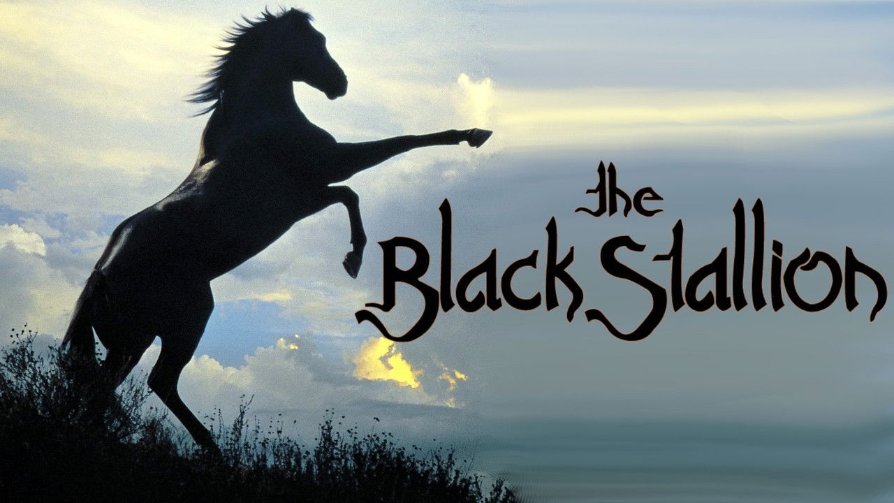The Black Stallion