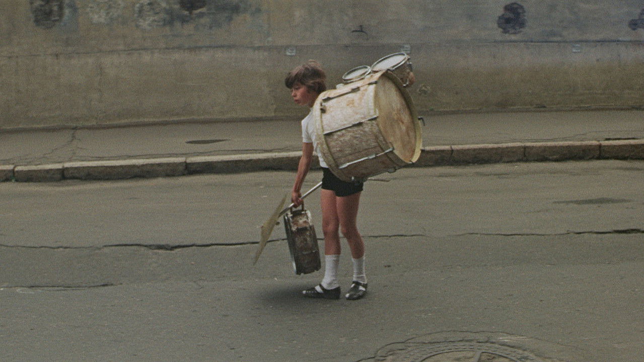 Woodpeckers Don't Get Headaches backdrop