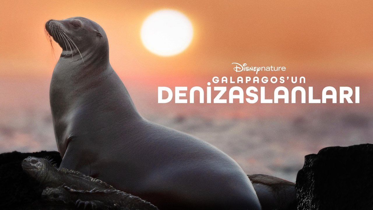 title image