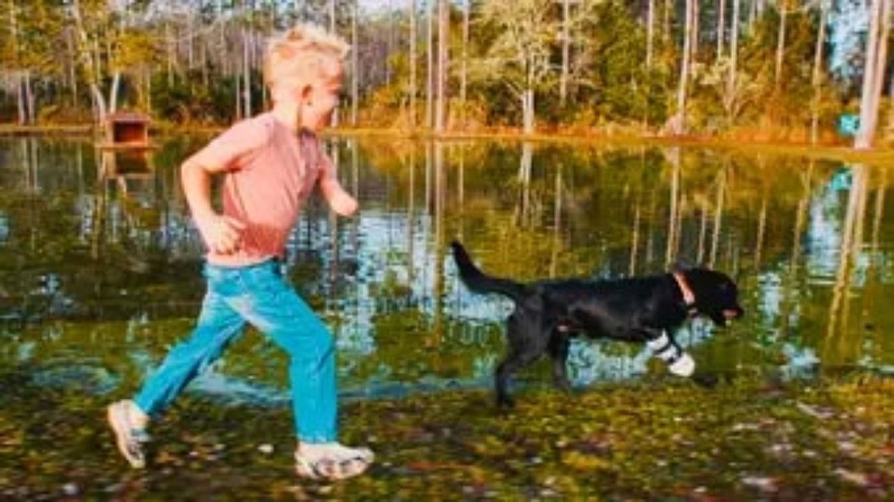 The Wizard of Paws - Season 6 Episode 8 : A Buddy for Jojo Tidd