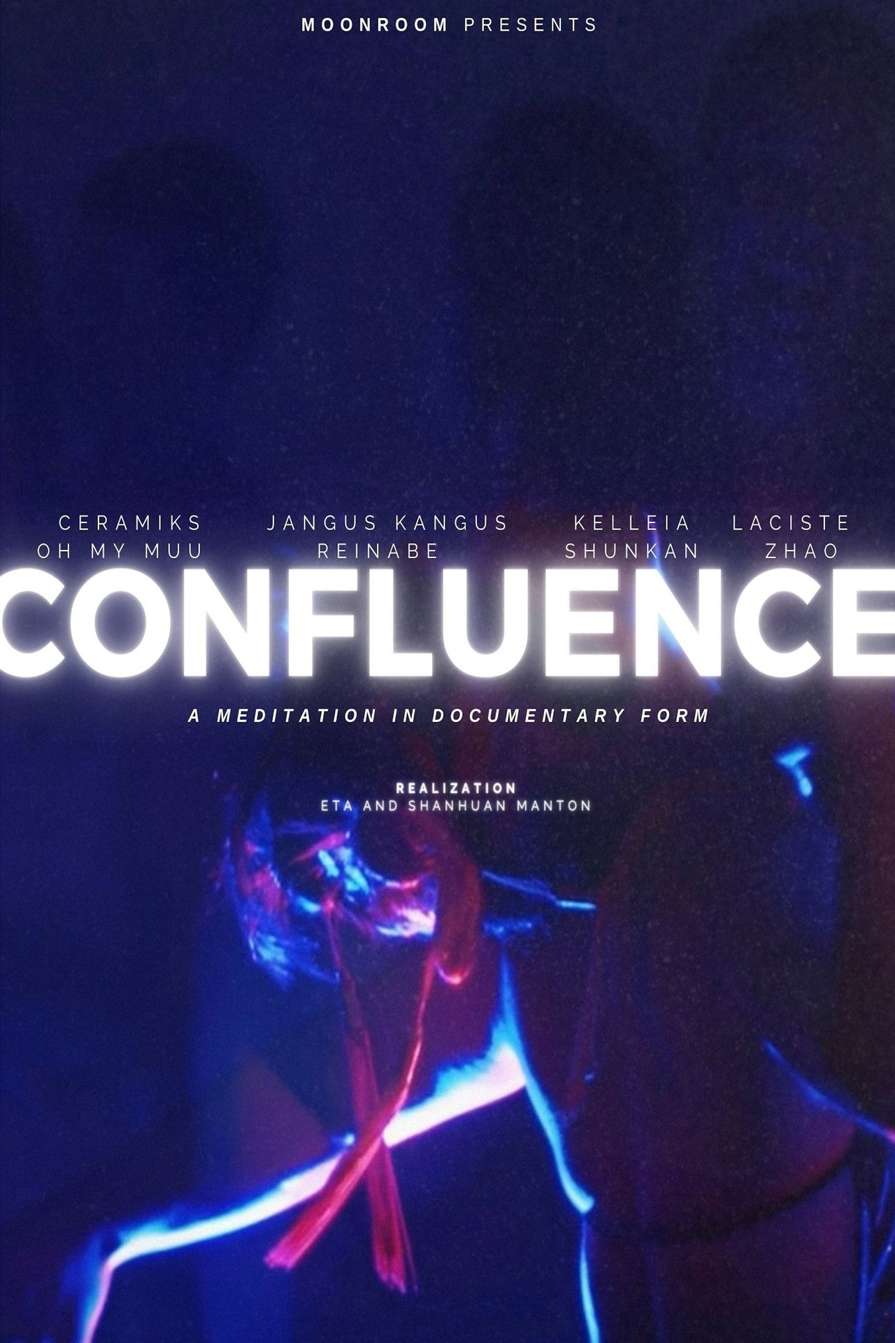 Confluence: A Meditation in Documentary Form filmaffisch