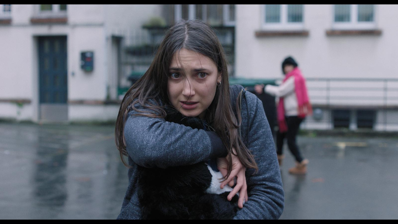 J'ai tué votre chat