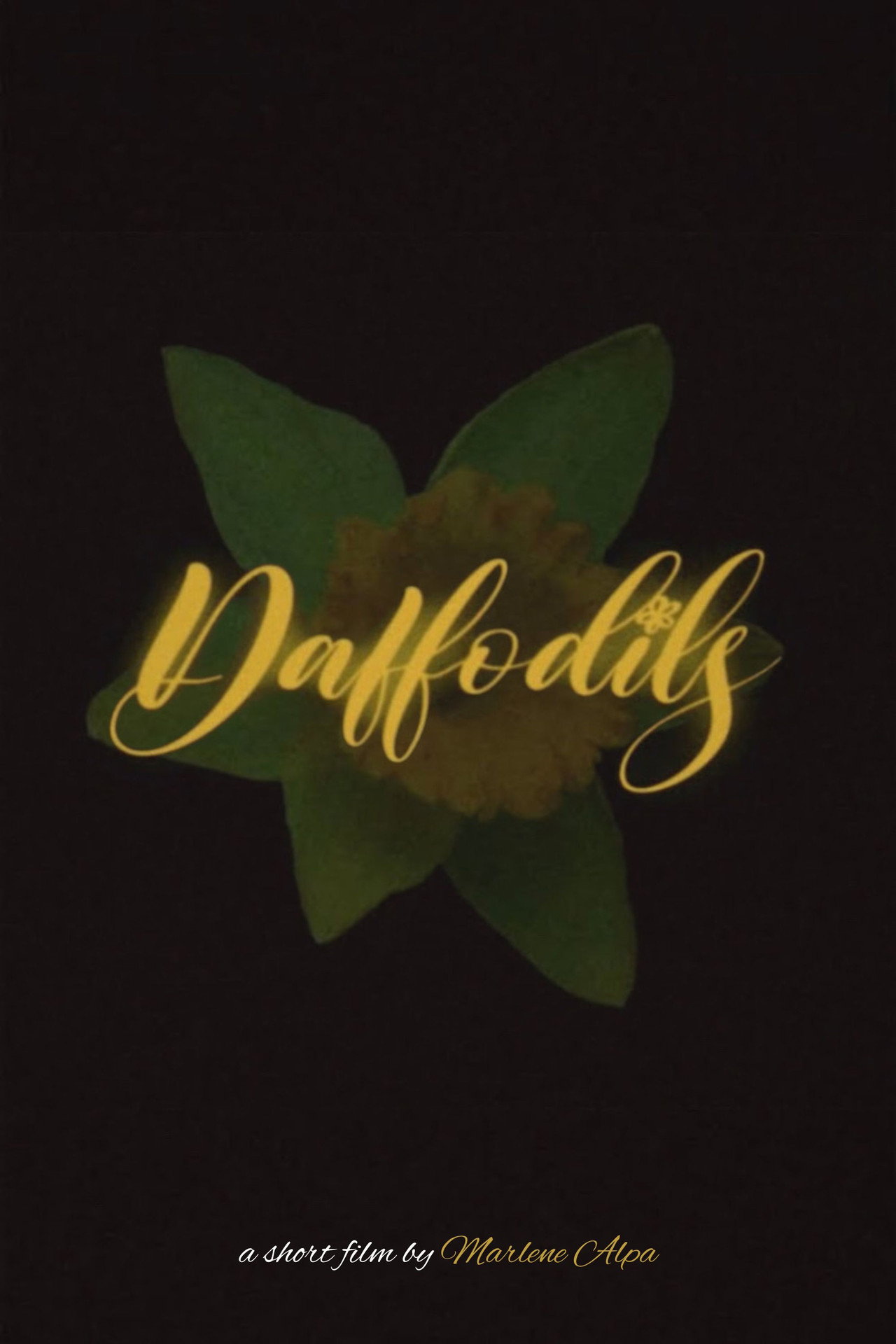 Daffodils: The Short Film Backdrop