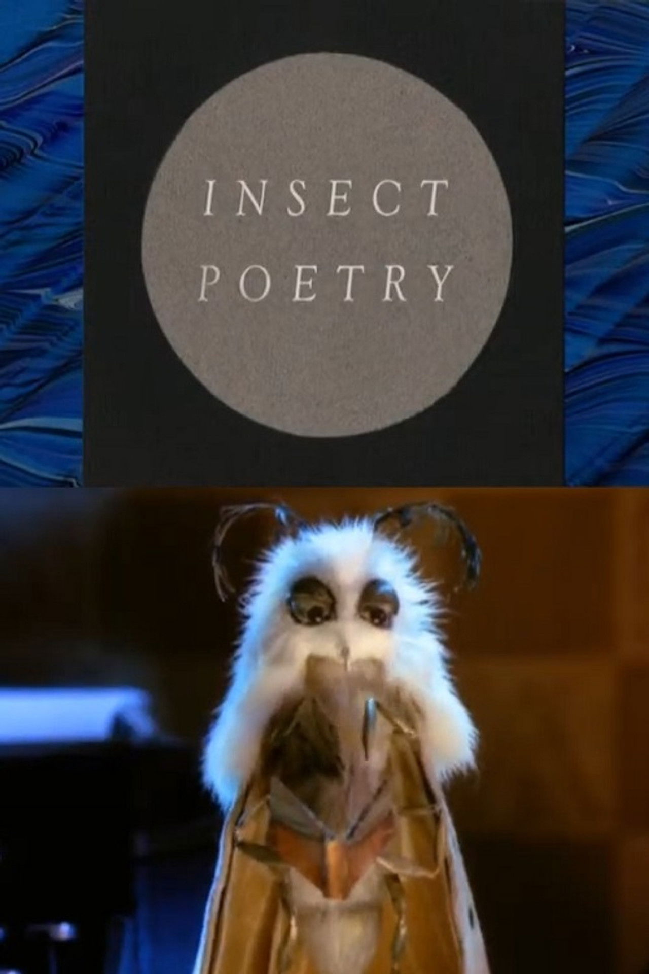 Insect Poetry Backdrop