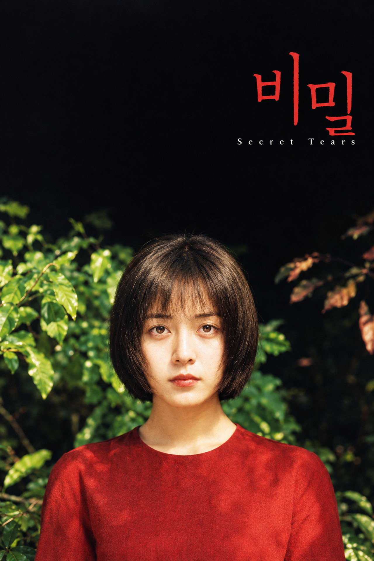 Secret Tears poster