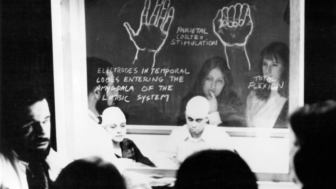 Cast and Crew of Vortex