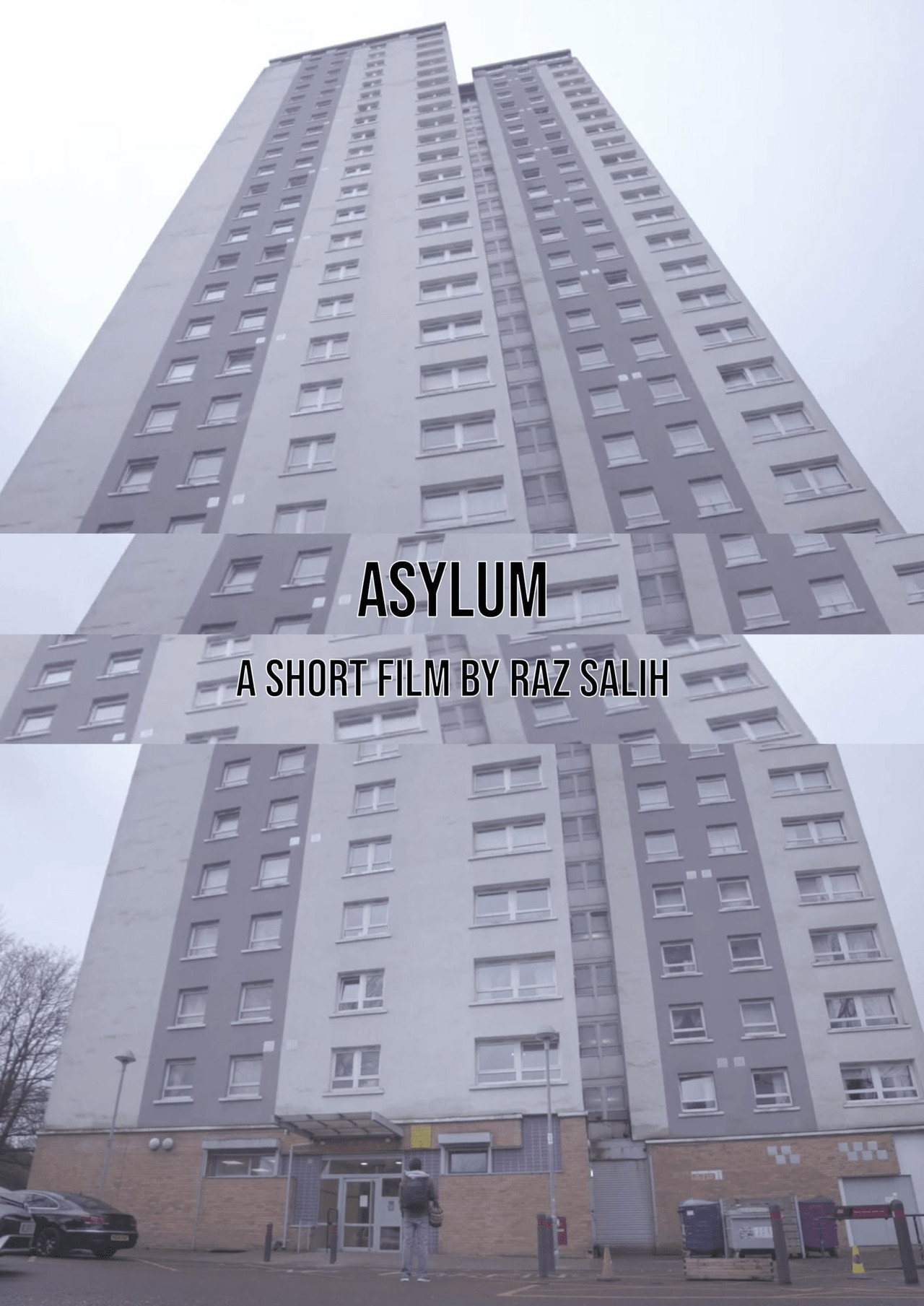 Asylum filmaffisch
