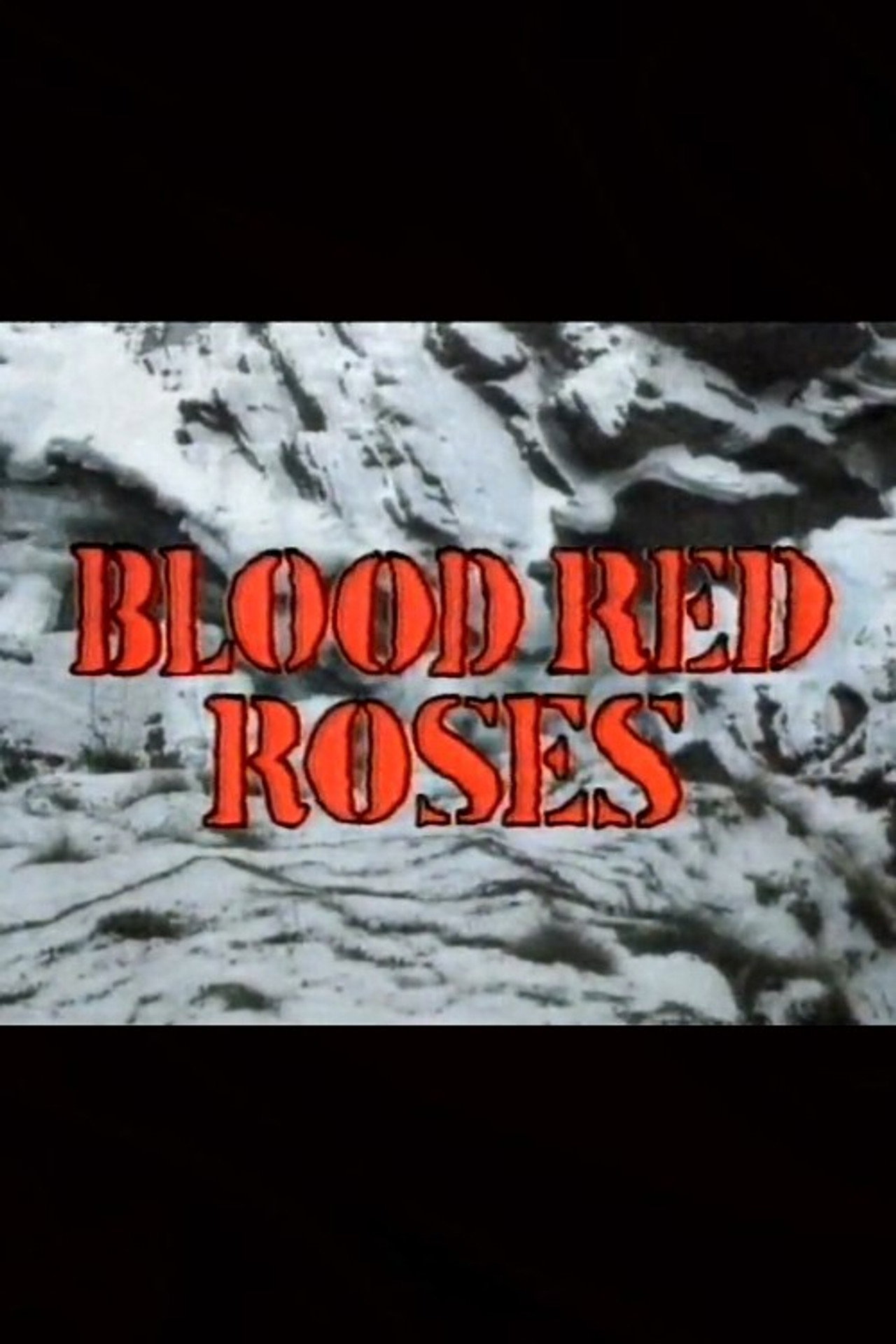 Blood Red Roses Backdrop