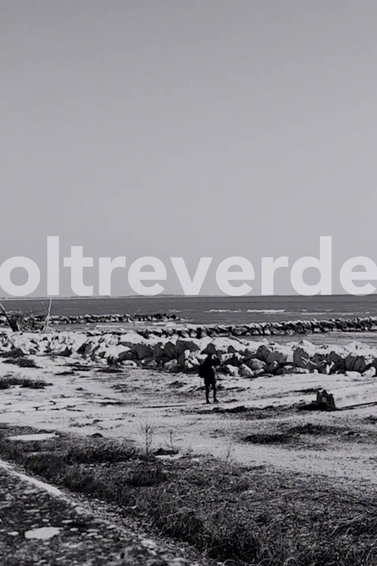 Oltreverde filmaffisch